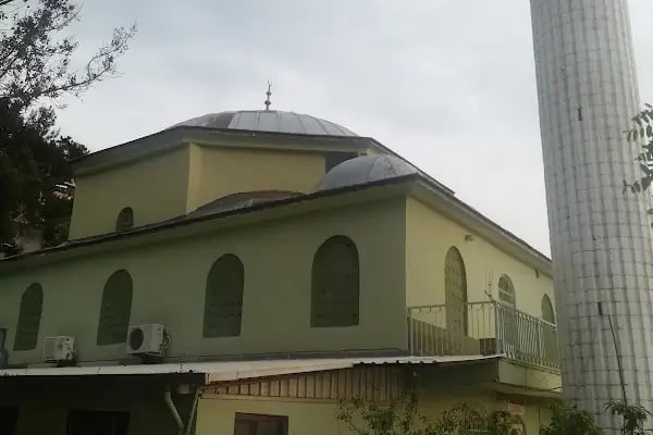 Mehmet Azizoğlu Çamlık Cami - Resim 3