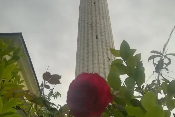 Mehmet Azizoğlu Çamlık Cami - Resim 7