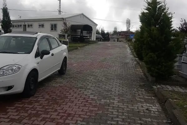 Cebeci Mezarlığı - Resim 18