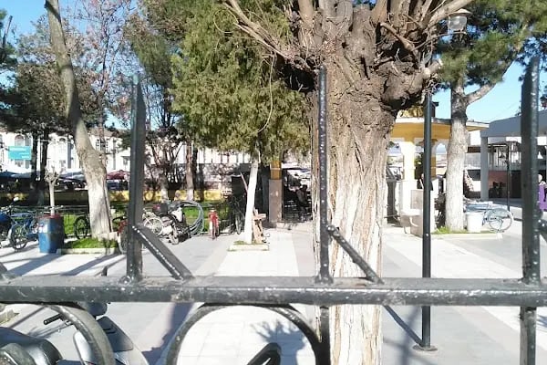 Hürriyet Cami - Resim 5