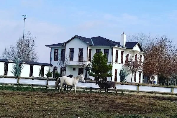 ATLI KONAK BİNİCİLİK - Resim 18