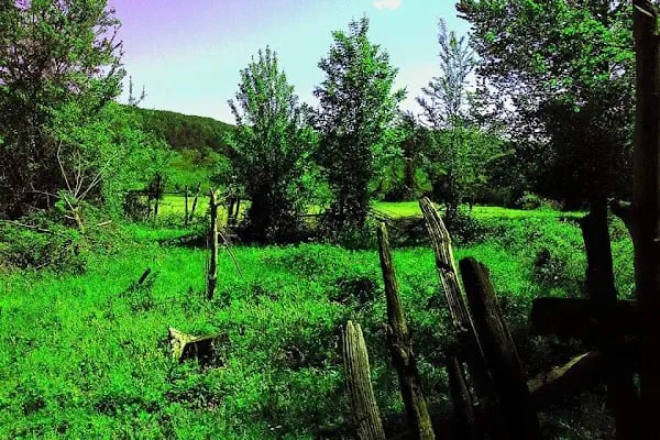 Teşvikiye Erikli Şelasi Arası Kamp - Resim 7