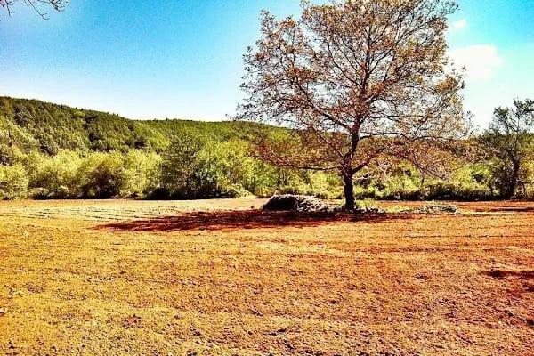 Teşvikiye Erikli Şelasi Arası Kamp - Resim 14