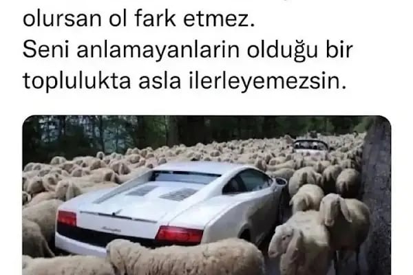 Ay ışığı terzi - Resim 13