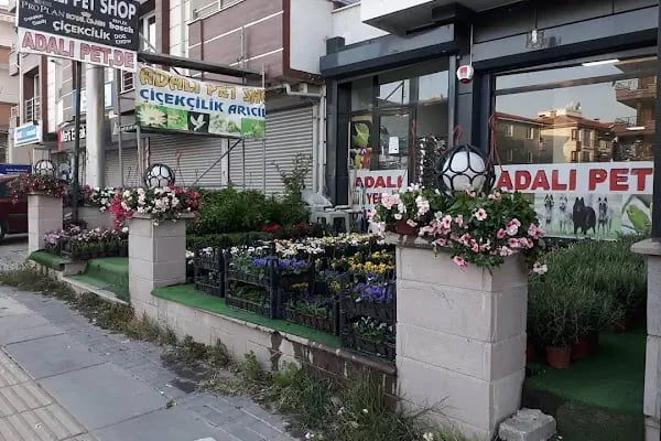 Adalı Pet Shop - Resim 15