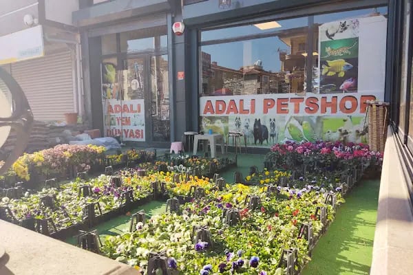 Adalı Pet Shop - Resim 9