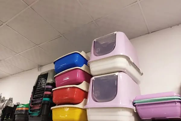 Adalı Pet Shop - Resim 7