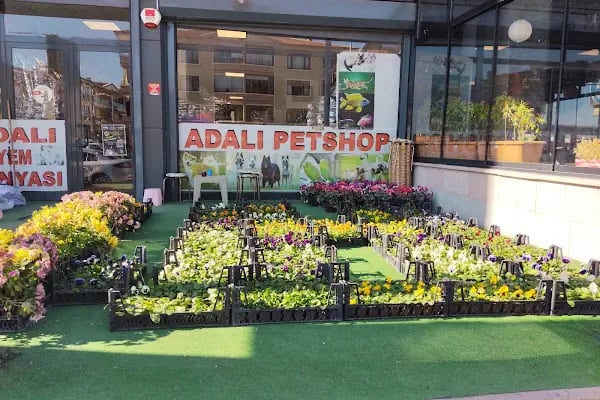 Adalı Pet Shop - Resim 12
