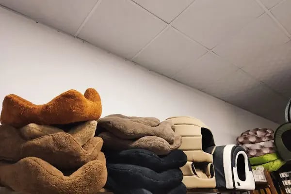 Adalı Pet Shop - Resim 16