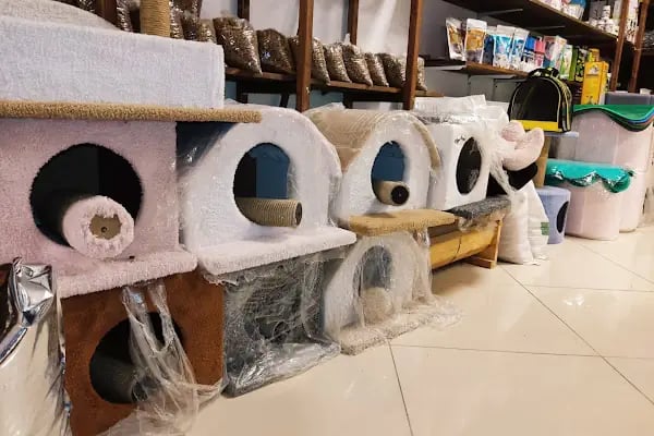 Adalı Pet Shop - Resim 2