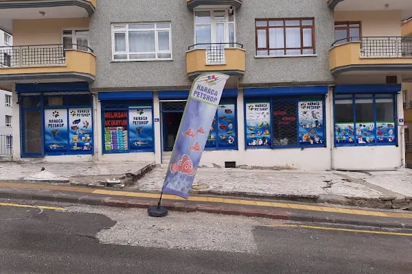 Melikşah Akvaryum Ankara İmalat, Satış ve Dekorasyon Ürünleri Merkezi - Resim 7