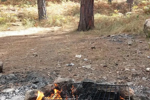 Kızılalan Orman Parkı - Resim 4