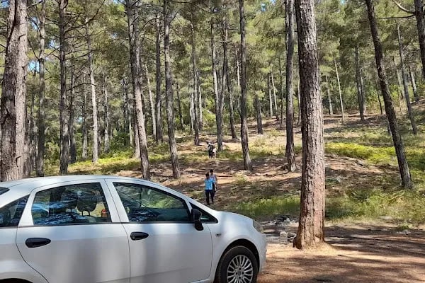 Kızılalan Orman Parkı - Resim 18