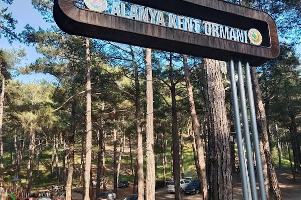 Kızılalan Orman Parkı - Resim 8