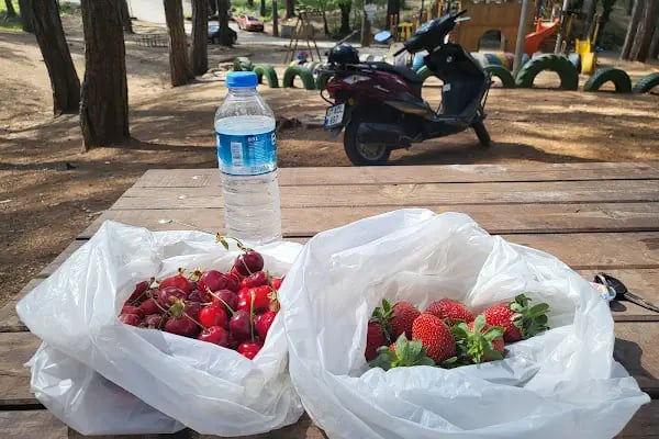 Kızılalan Orman Parkı - Resim 9