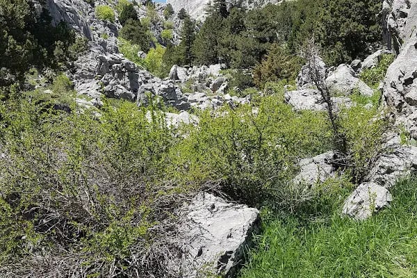 Alara Bim Mağazası - Resim 7