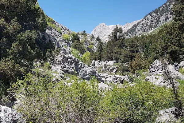 Alara Bim Mağazası - Resim 9