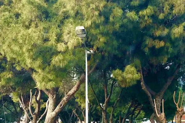 Ebe Mebrüre Hanım Parkı - Resim 9