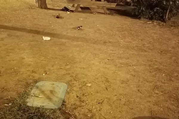 Ebe Mebrüre Hanım Parkı - Resim 17