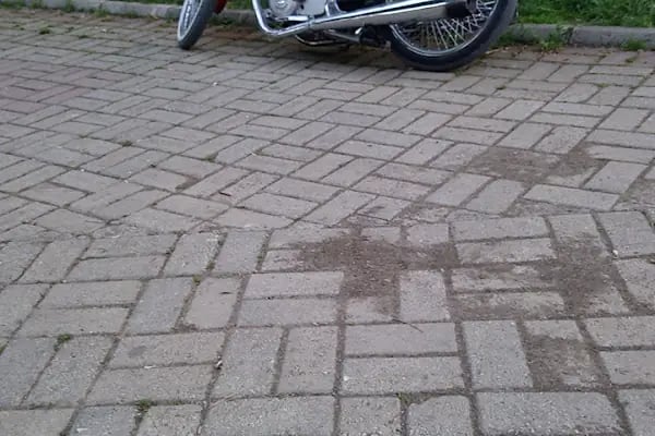 Ebe Mebrüre Hanım Parkı - Resim 14