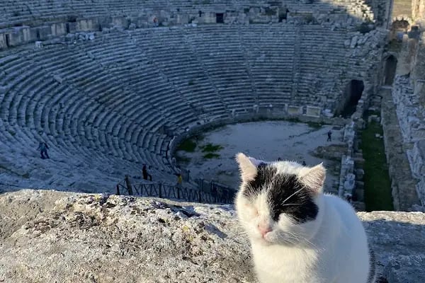 Perge tiyatrosu - Resim 16