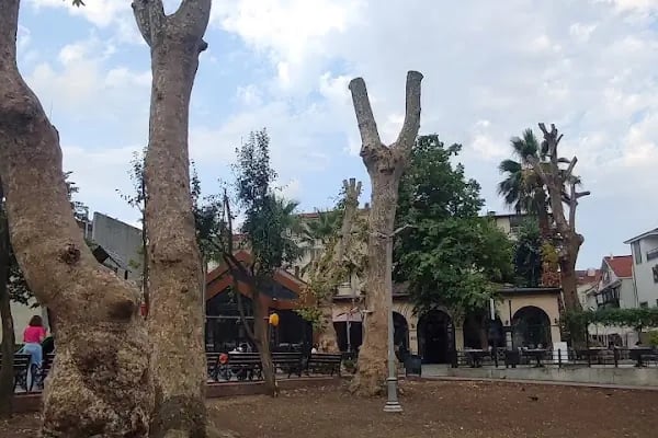 Değirmendere Açık Hava Ahşap Heykel Müzesi - Resim 18