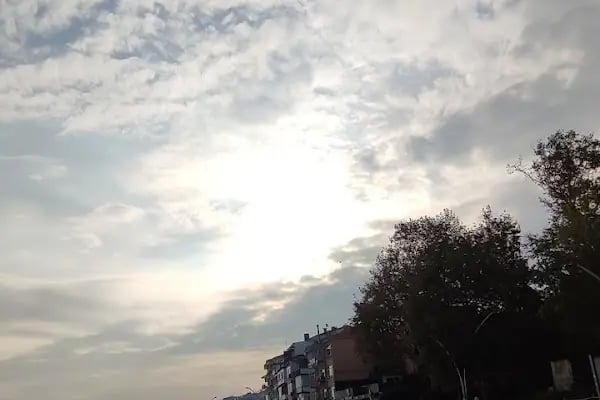 Değirmendere Açık Hava Ahşap Heykel Müzesi - Resim 20