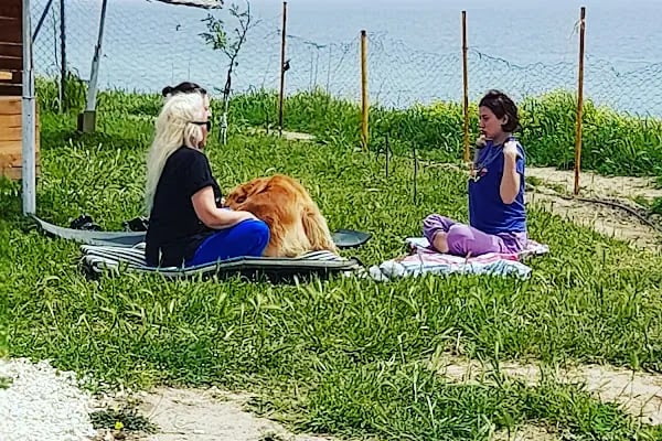 Denizatı Camping - Resim 7