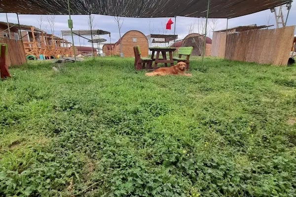 Denizatı Camping - Resim 10