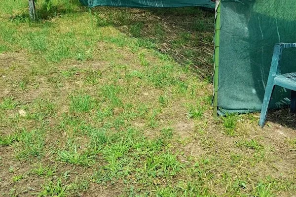 Denizatı Camping - Resim 14