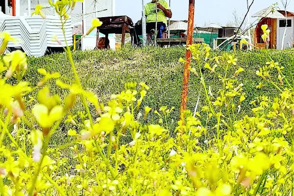 Denizatı Camping - Resim 13
