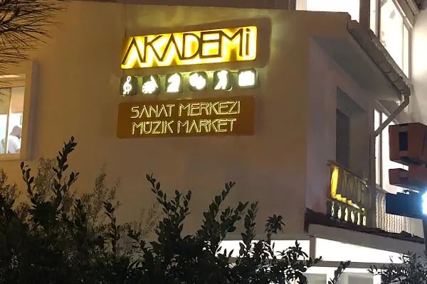 MEB Özel İzmir Sanat Kursu - Resim 2