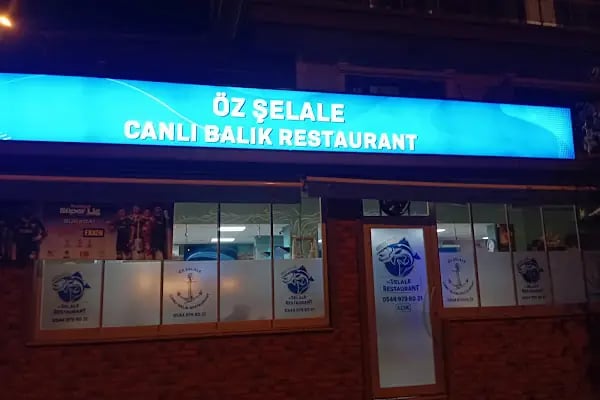 Nesil Kırtasiye-AMBALAJ-ETİKET-BANT-RİBON-STREC - Resim 6