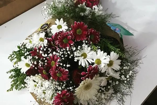 BOTANİK ÇİÇEK EVİ - Resim 19