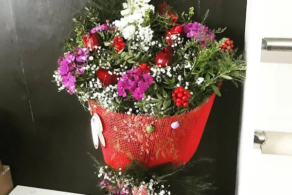 BOTANİK ÇİÇEK EVİ - Resim 1
