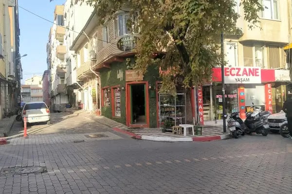 BOTANİK ÇİÇEK EVİ - Resim 2