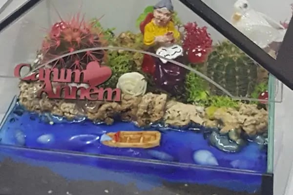 BOTANİK ÇİÇEK EVİ - Resim 10