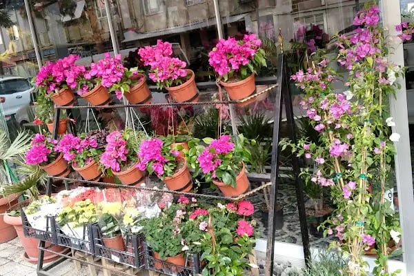 BOTANİK ÇİÇEK EVİ - Resim 18