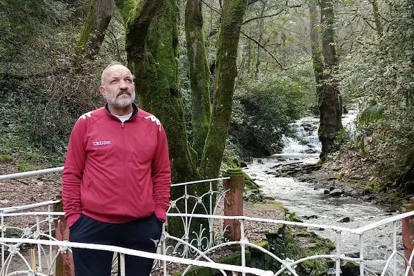 Altın kemer boks okulu - Resim 16