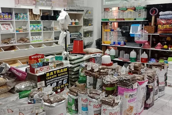 Bayram petshop - Resim 10