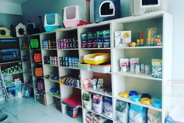Bayram petshop - Resim 17