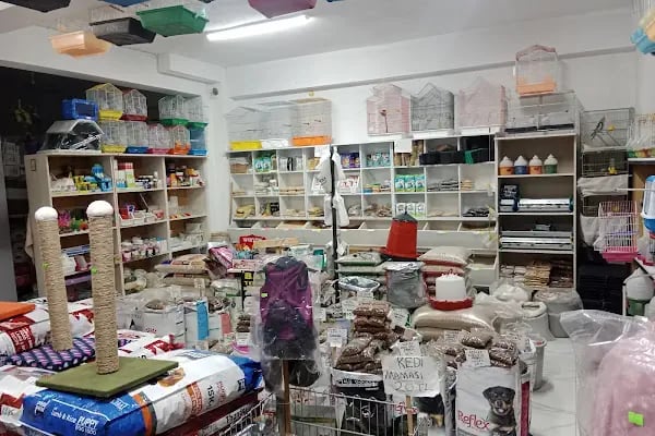 Bayram petshop - Resim 20