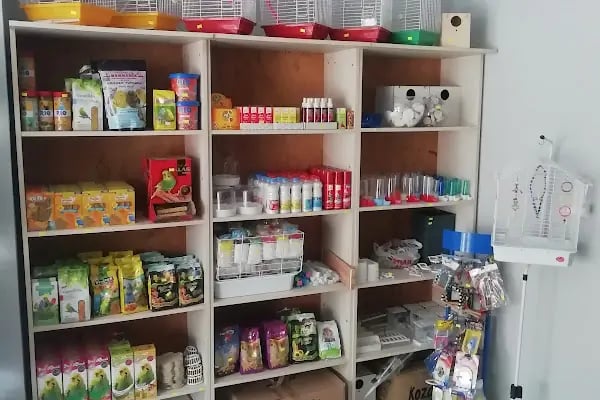 Bayram petshop - Resim 15