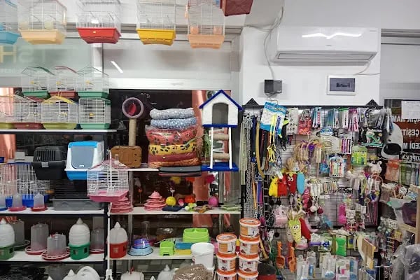 Bayram petshop - Resim 16