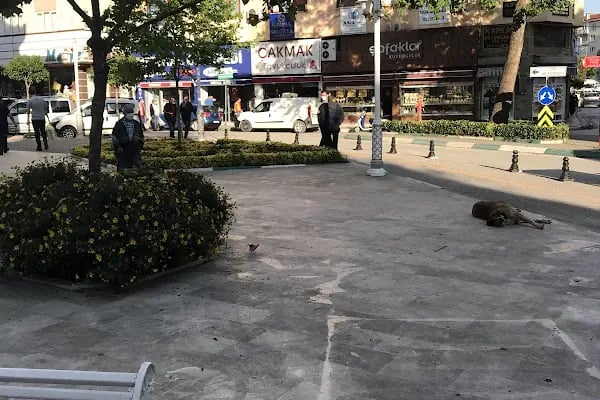 Çakmak Tavukçuluk - Resim 3