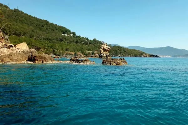 Bozdoğan - Resim 7