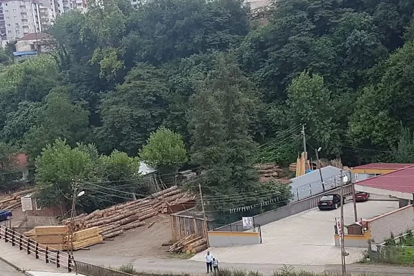 Tork Oto Yıkama - Resim 2