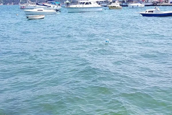 Yeni İdeal Restoran - Resim 9