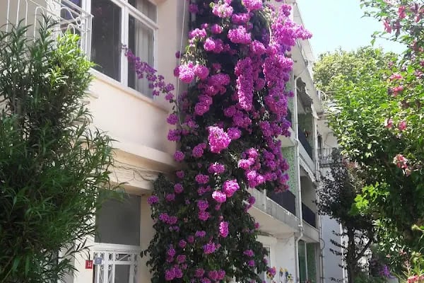 Yeni İdeal Restoran - Resim 4