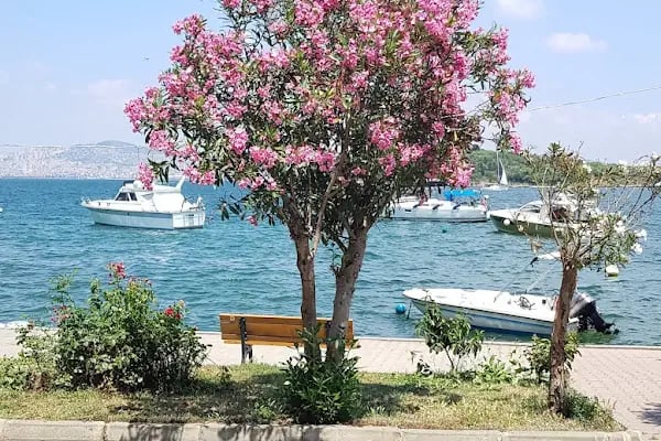 Yeni İdeal Restoran - Resim 7